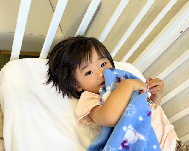 認定NPO法人ノーベルのアルバイト・パート 保育士 病児・病後児の求人情報イメージ1